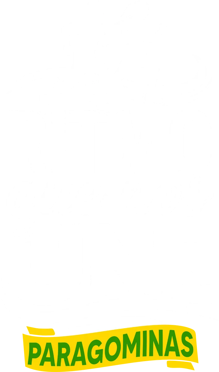 Ritmo Que Nos Une — Paragominas